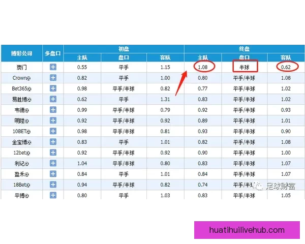 深度解析世界杯买球赔率变化规律与投注技巧全面指南